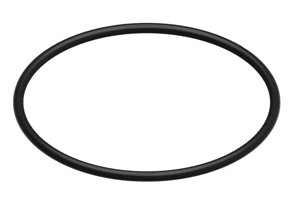 Schwarzer O-Ring von Bosch, kreisförmig mit mittlerer Dicke, auf weißem Hintergrund, geeignet für verschiedene Dichtungsanwendungen.